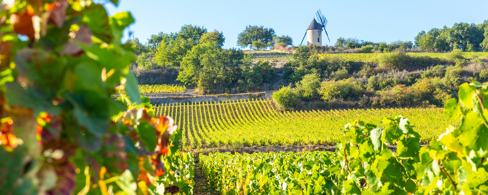 La Borgogna territori e vigneti