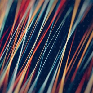 Esprimere il Brand culturale nel marketing digitale
